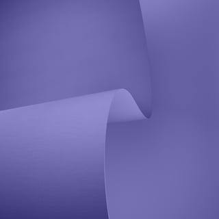 Morea Rec fabric
